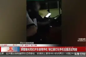 太危险！司机开车时玩手机被乘客举报，等红灯时也不行图片