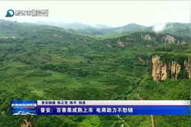 普安：百香果成熟上市 电商助力不愁销图片