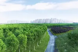 “绿谷”“绿峰”“绿珠”......天津这样绿起来了图片