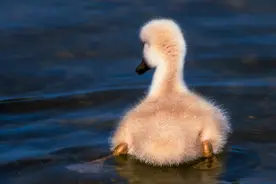 高中生物：基础知识笔记，先收藏吧图片