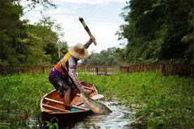 它活了上亿年，把食人鱼“当点心”，菜刀砍不动，为何败给了棒槌图片