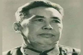 解放时期，最佳军政搭配陈谢，杨罗，陈唐，二萧分别是哪八位将帅图片