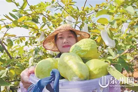 泉州果园采摘地图图片