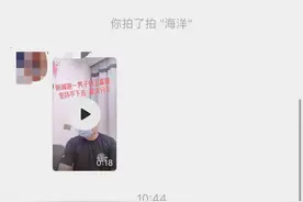 微信出了拍一拍：今天你拍了吗？图片