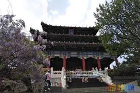 留京过年，打卡皇家园林 | 去景山公园站在北京城中心点俯瞰京城！图片