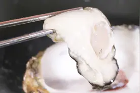 试吃超大乳山活牡蛎 这个头大的出奇！视频封面