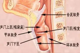 喉部疾病影像学检查与分型，耳鼻喉和影像科医生需要掌握图片
