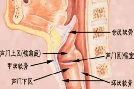 喉部疾病影像学检查与分型，耳鼻喉和影像科医生需要掌握图片