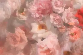 再爱一个人，天蝎座也不会把自己全交出去，他们的爱情是有保留的图片