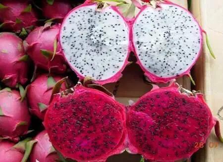 海南的水果上市时间表你知道有什么水果吗？