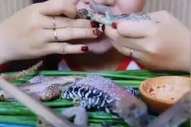 吃播，我看吐了！图片