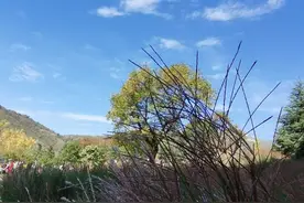有一种高人叫“愚公”，有一种精神叫“干就完了”图片