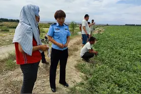 马群“闯祸”被关在太阳下暴晒，兵团司法干警如何巧妙化解“僵局”？图片