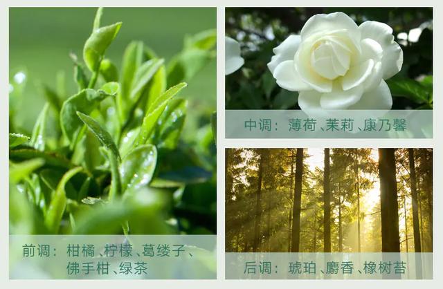 身体乳可以擦牛皮鞋吗 身体乳可以擦牛皮鞋吗