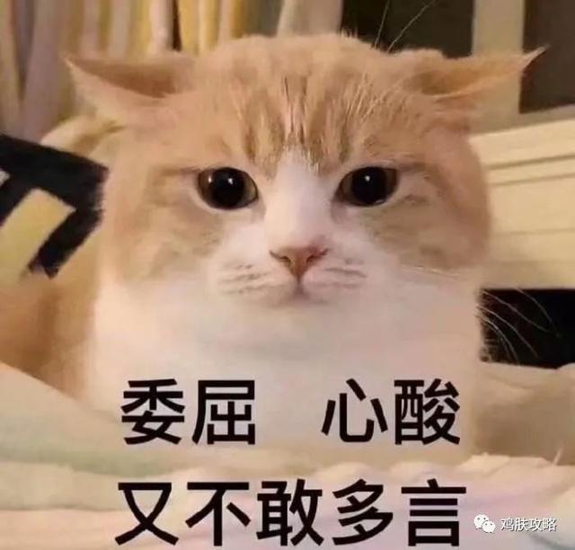 毛周角化症的地方能纹身吗