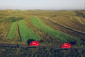 乡村振兴路上，他们被京东改变人生走向图片