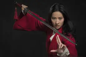 细读《木兰诗》后发现，立下大功的花木兰为何不被封官？图片
