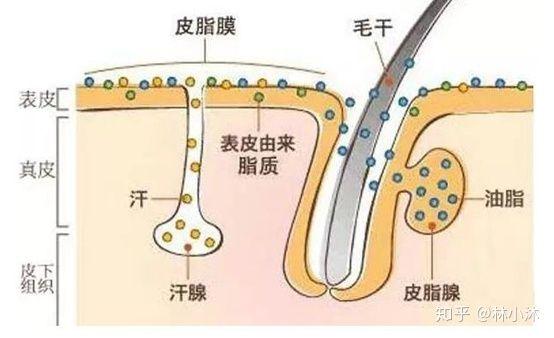 璁茬湡锛屾湁浜涢粦蹇冨晢瀹讹紝瀛曞鐢ㄧ殑涓滆タ灏变笉瑕佹槯鐫€鑹績璧氶挶浜嗗惂