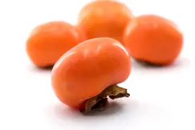 民间俗语“一个柿子十副药”，真的有那么神奇？听听老农怎么说图片