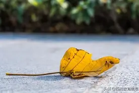 中国教育最大的困局：“把学生当祖宗供，把老师当学生管”图片