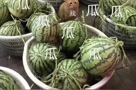 有人不睡觉还能“极限挑战”，我为何只熬夜就脱发了呢？图片