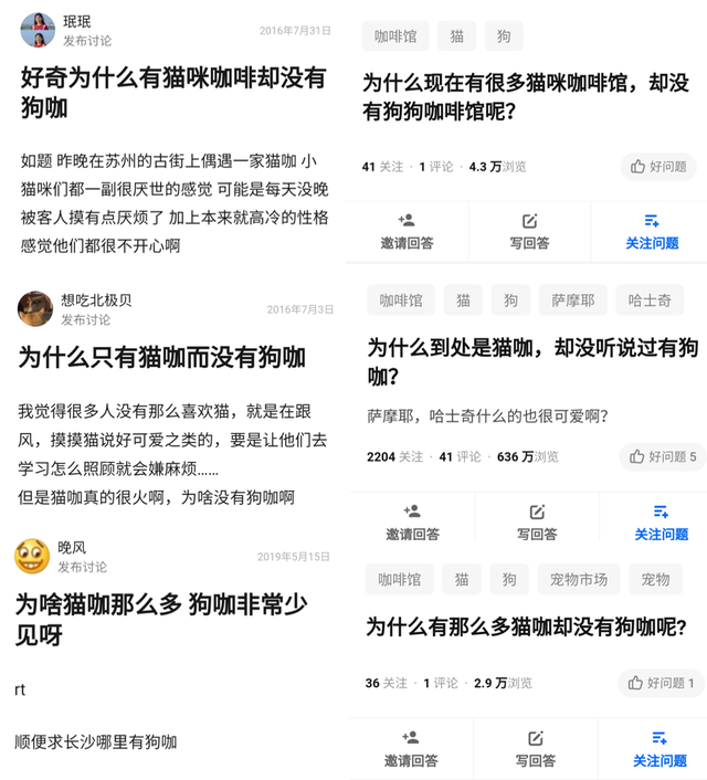 开一个狗咖的成本  投资不高简直是爱狗人士的天堂（我花89元看狗打架1小时）