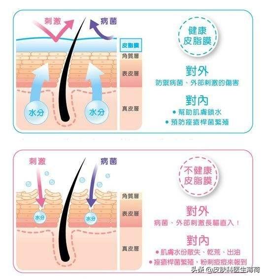 皮肤科医生的护肤建议｜护肤品究竟有什么作用？