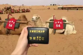 你见过哪些奇葩的"驾驶证"图片