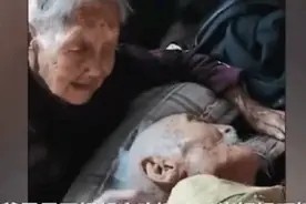 2020最火的7首歌：不敢点赞，不敢评论，不敢再听图片