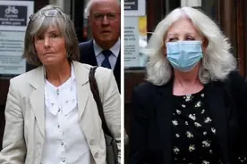 邻居苹果树果实常掉入自家花园，英国女子很烦恼，愤将对方给告了图片