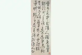 疏影横斜，苍藤盘结：清扬州八怪黄慎草书《桃花源记》欣赏图片