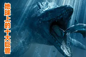地球十大远古巨兽排行，大象在它们面前就是点心，鲨鱼就像幼崽图片