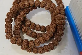 刷！刷！刷图片