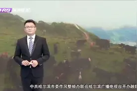 男子只用两招，给牦牛增肥100多斤，让牦牛年销售额达3000万视频封面