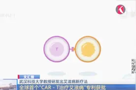 全球首个CAR-T治疗艾滋病专利获批！武汉科技大学教授研发新疗法视频封面