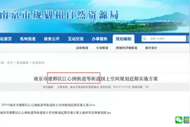江心洲的发展越来越好了，河西114个项目曝光图片