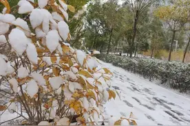 吉林省多地迎来秋末的初雪！预计低温天气将持续到20日，请做好防护图片