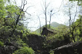 一家三口住深山，和野猪做邻居，女儿送回2斤肉，看大娘怎样安排图片