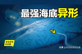 最强海底异形，竟是人类始祖，一场横贯6亿年的星际大战图片