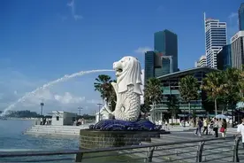 2021新加坡极简报告-投资环境图片