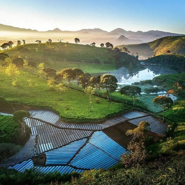 100幅顶级摄影师的获奖摄影