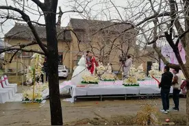 加班，抽空参加侄子婚礼，热闹让毛毛雨也有了发芽孕花的生动图片