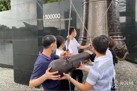 勿忘历史 奋勇前行 江苏各地举行抗战胜利纪念日活动图片