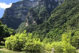 湖北省 宜昌市 秭归县 三峡竹海图片
