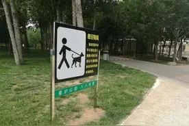 女子被藏獒吓撞车致高位截瘫，法院这样判→图片