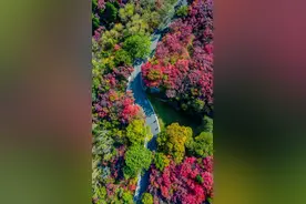 有篝火、有星空！山东私藏的这些自驾露营地景美人少，现在就出发！图片