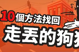 10个方法找回走丢的狗狗，6-8小时内找到的几率最大图片