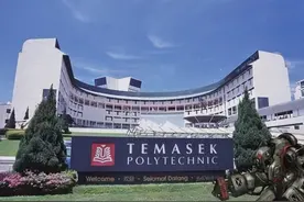淡马锡的成功之道图片