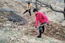 邢台信都区城计头乡以产业结构七大区片建设促进农民增收图片