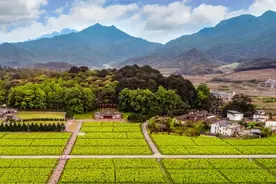 古田会议会址寻踪图片